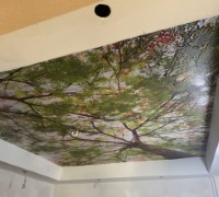 portfolio15.jpg